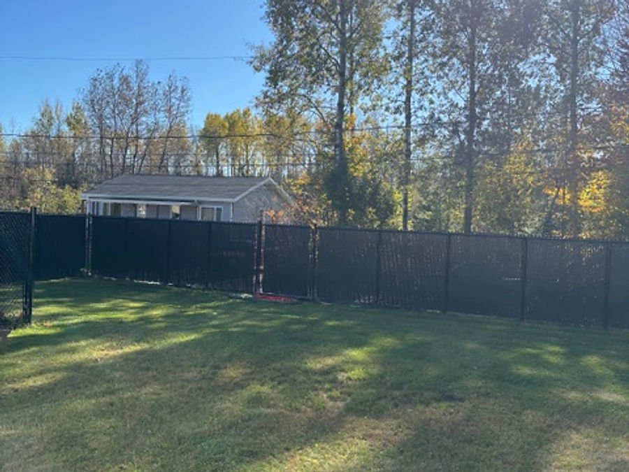 Maintained backyard with a black fence and a clear lawn