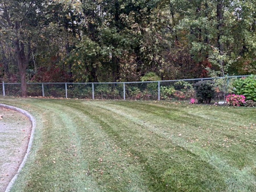 Backyard covered in fallen leaves before collection