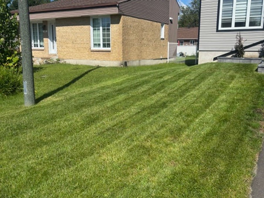 Lawn mowed in stripes alongside a brick house