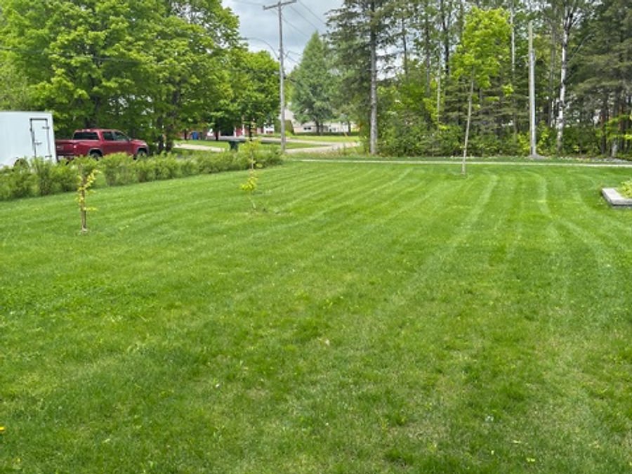 Freshly mowed green lawn in front of a residential property