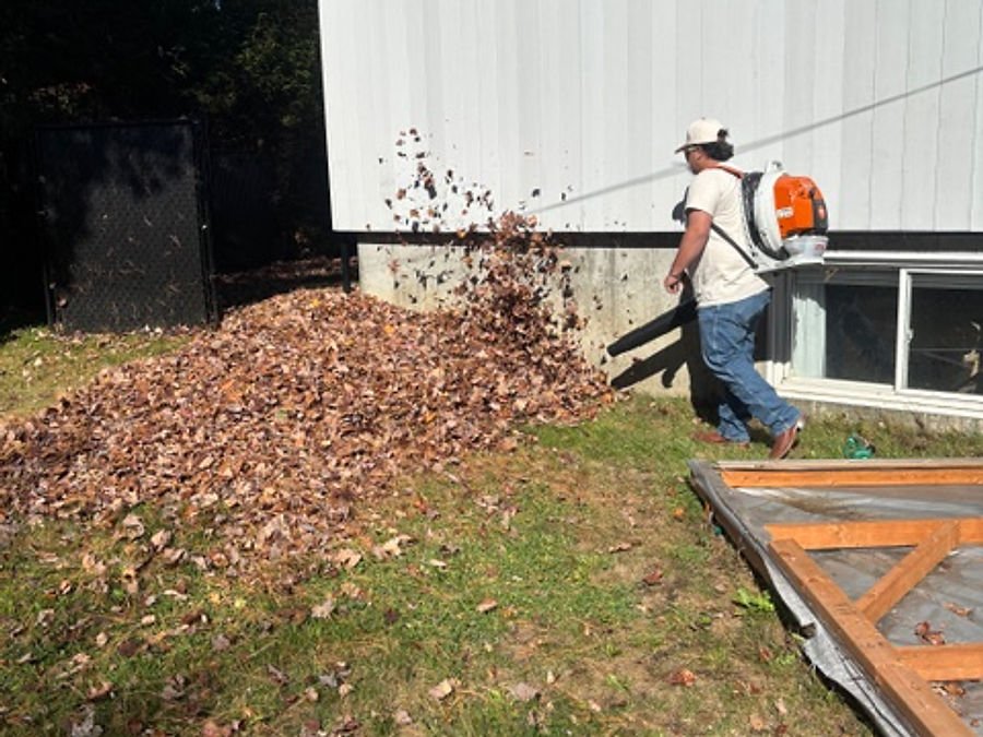 Soufflage et ramassage des feuilles d’automne le long d’un bâtiment